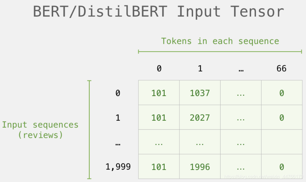Detectbert 初次使用BERT的可视化指南_dnabert可视化-CSDN博客