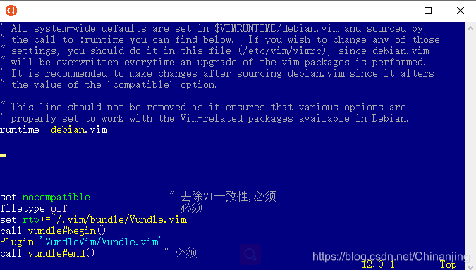 vim配置文件开头部分信息