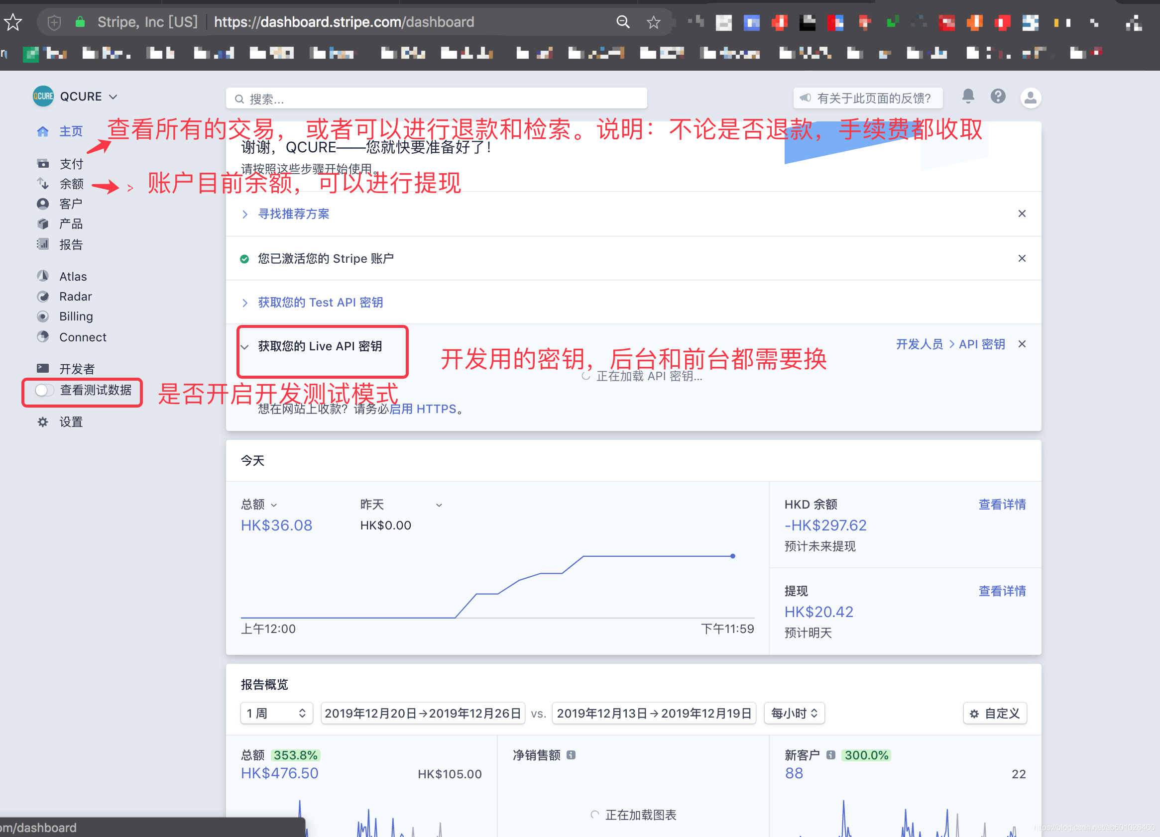 stripe dashboard