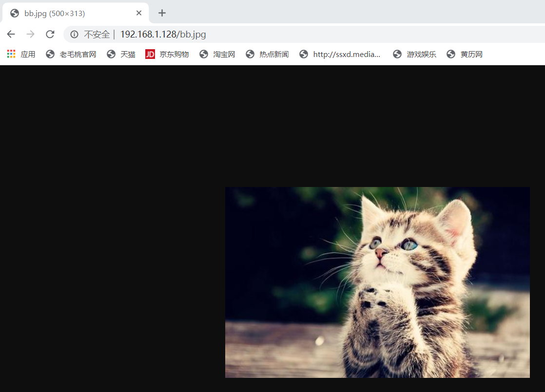 搭建nginx服务器及深度优化 1
