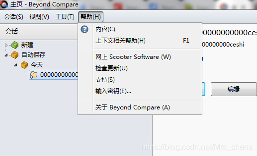 Beyond Compare使用技巧和常见问题_beyond compare 技巧-CSDN博客