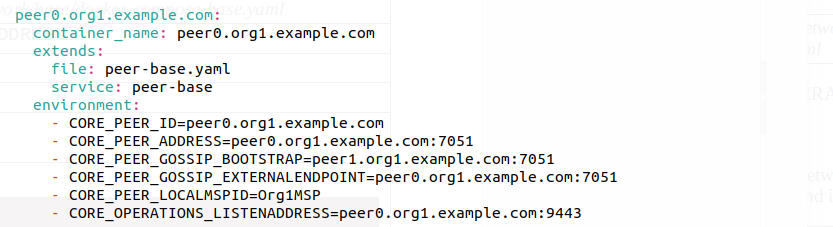 [外链图片转存失败,源站可能有防盗链机制,建议将图片保存下来直接上传(img-LNk1koy3-1577443767717)(hyperledger-fabric-monitoring/peer-compose.png)]
