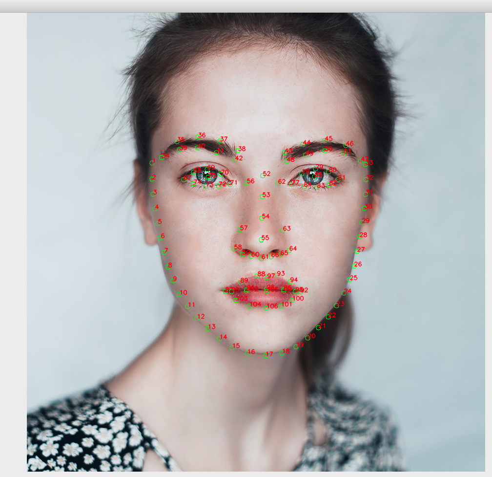 Face key point detection Programmer Sought