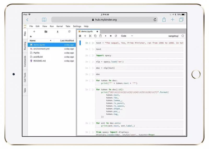 iPad该如何运行Python代码？_ipad怎么看python项目-CSDN博客