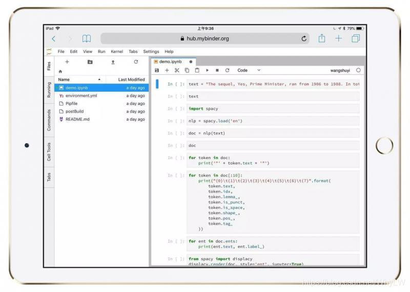 iPad该如何运行Python代码?_ipad怎么看python项目-CSDN博客