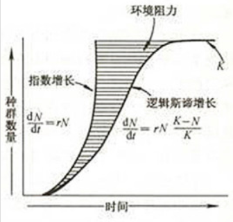 【机器学习】逻辑斯蒂回归概率计算和手动计算对比