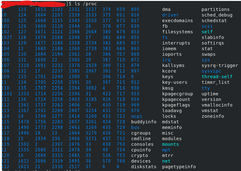 ls /proc