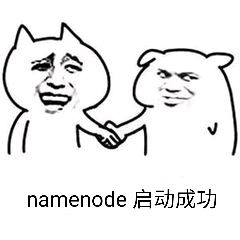 namenode成功启动