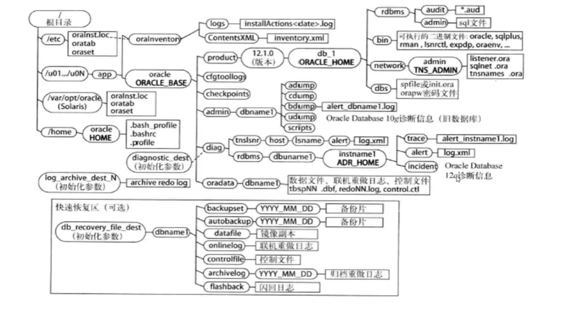 Oracle OFA目录结构_oracle ofa目录图-CSDN博客
