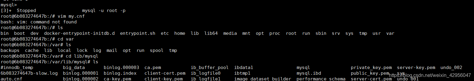 在这里插入图片描述