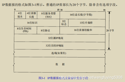 IP数据报格式