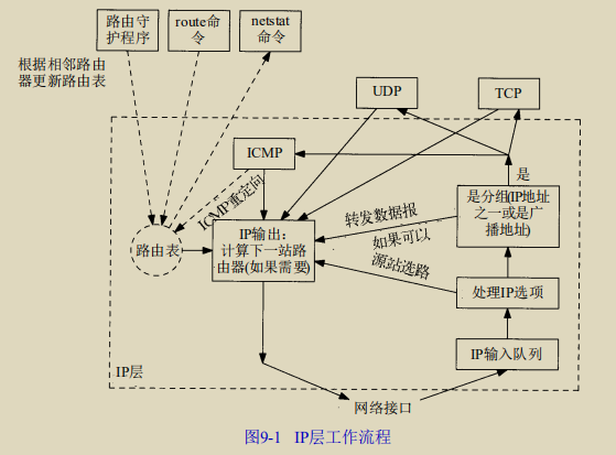 IP层工作流程