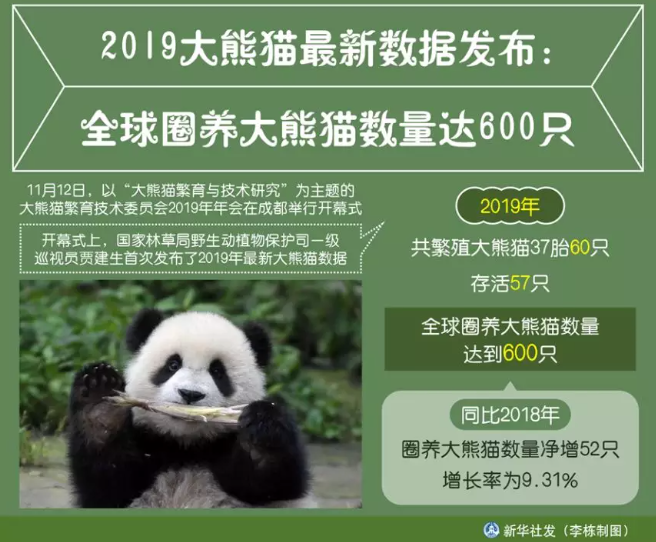 2019年过去了,2020年正式开启,尽管整个2019年,全国才繁殖大熊猫37胎