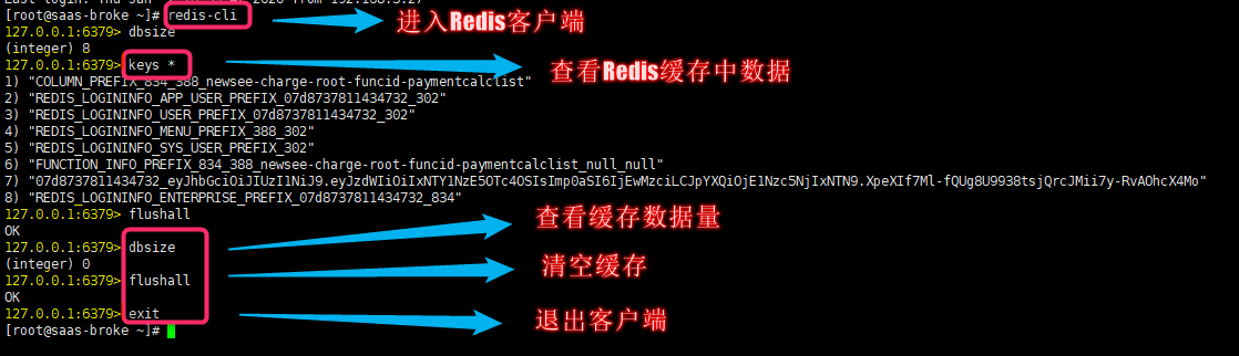 直接进入Redis客户端操作