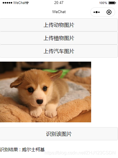 小程序
