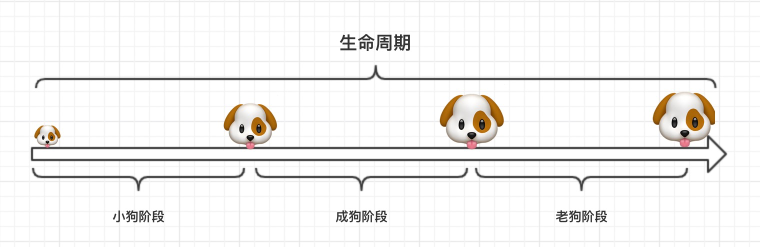 狗的生命周期流程图图片