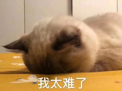 为什么猝死的都是程序员，基本上不见产品经理猝死呢？网络曹银飞的专栏-