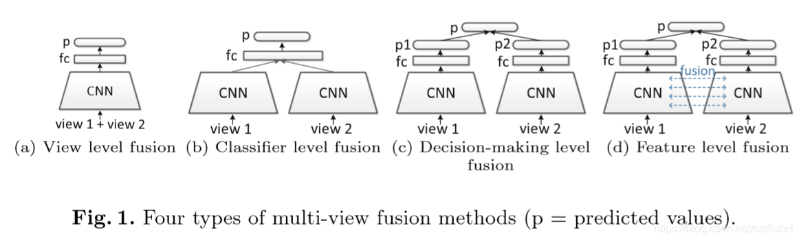 作者给出的四种类型的多视图融合模型