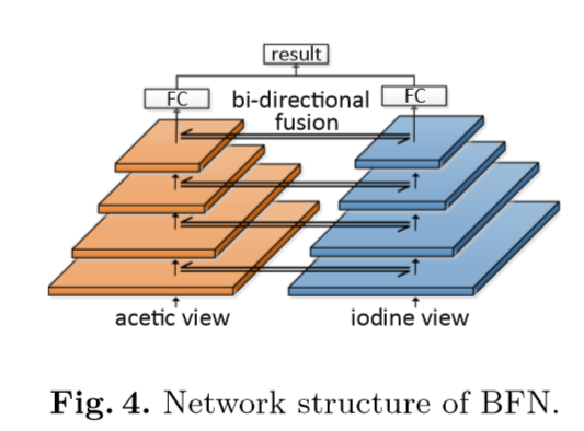 BFNet 结构