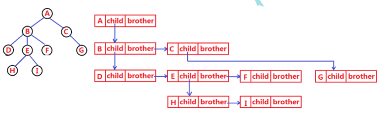 孩子兄弟表示法