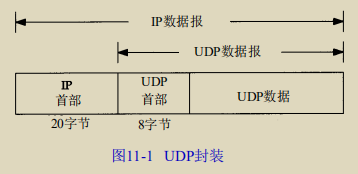 UDP的IP格式