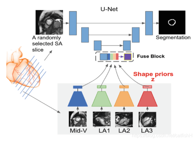 Multi-View U-Net