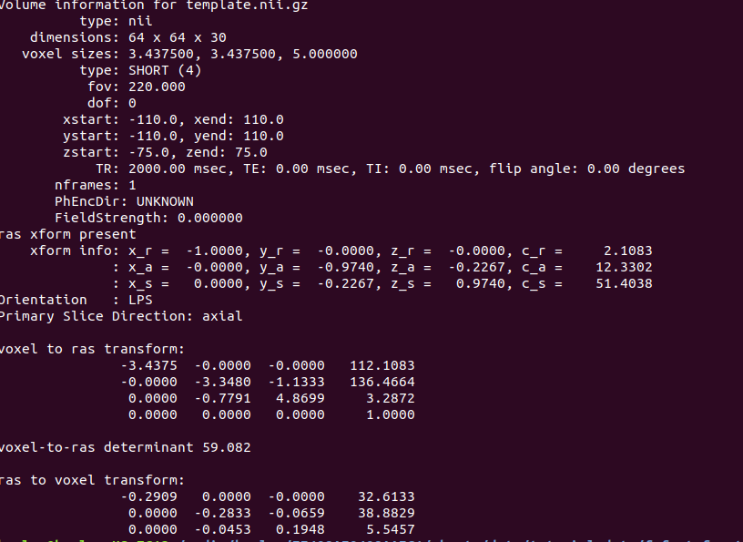 template.nii.gz