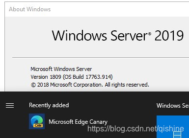 在Windows Server 2019上安装edge浏览器