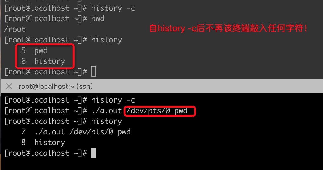 在别人的终端上执行linux命令 Dog250的博客 Csdn博客