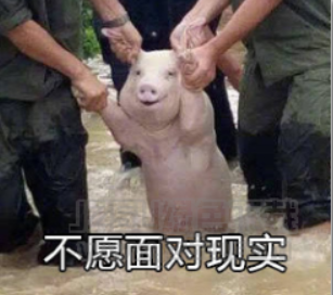 制作自己的个人博客网站