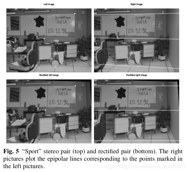 “Sport” stereo pair (top) and rectified pair (bottom).