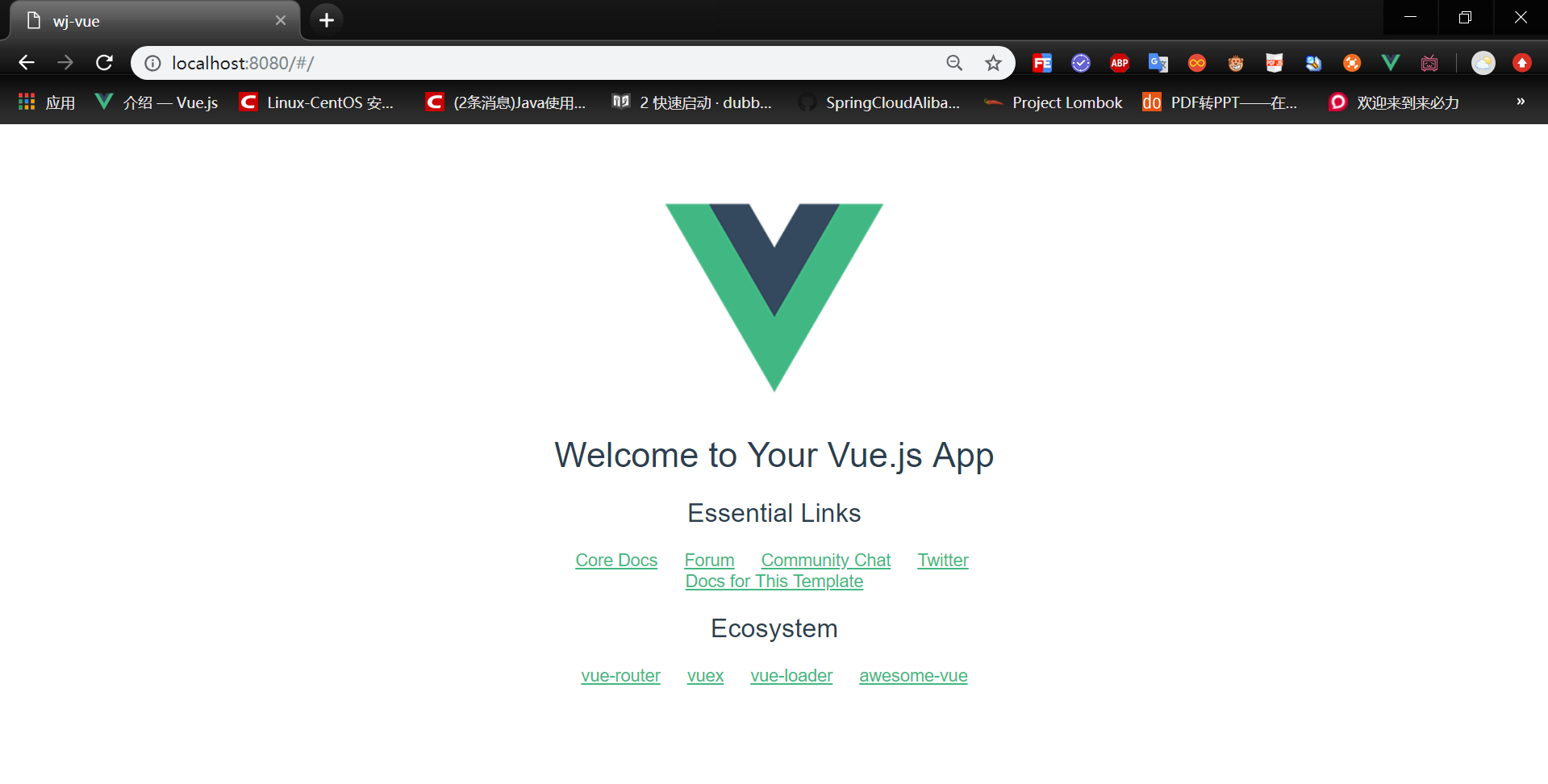 Vue + Spring Boot 项目实战（二）：使用 CLI 搭建 Vue.js 项目