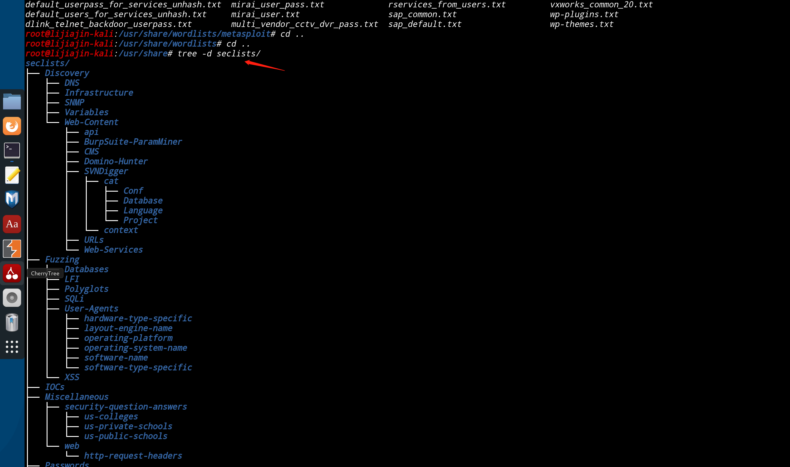 wordlist-seclists-csdn