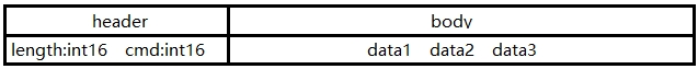 二进制协议格式
