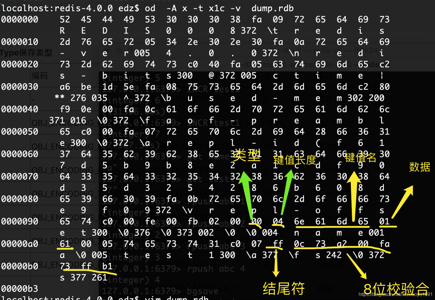 【Redis源码】轻松看懂rdb文件(四)_如何查看rdb文件-CSDN博客
