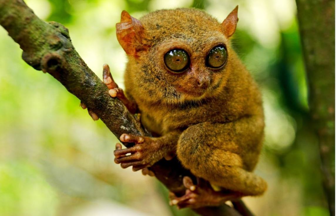 编程】arduino动手做(58)---sr04超声波传感器_sr04arduino-csdn博客