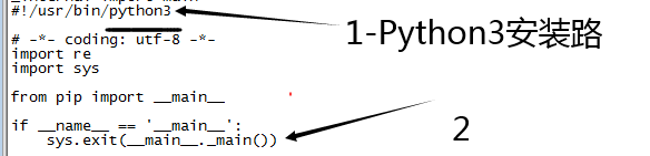 Pip3 file usr local bin pip3 Line 7 From Pip Import 