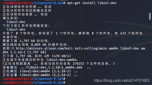 libssl-dev包