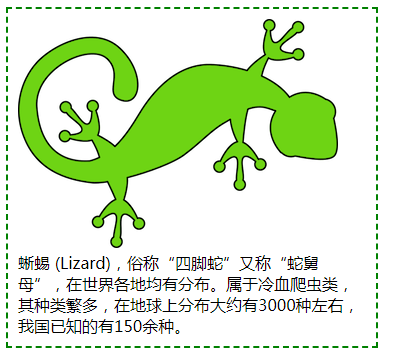 css3中4个自适应关键字availablemaxcontentmincontentfitcontent