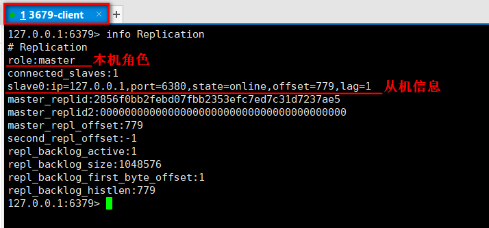 主机查看连接信息