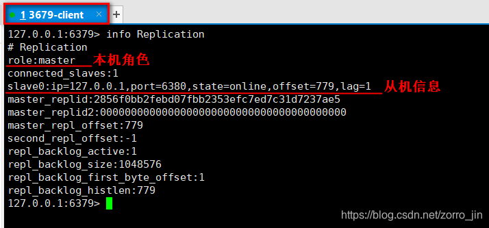 主机查看连接信息