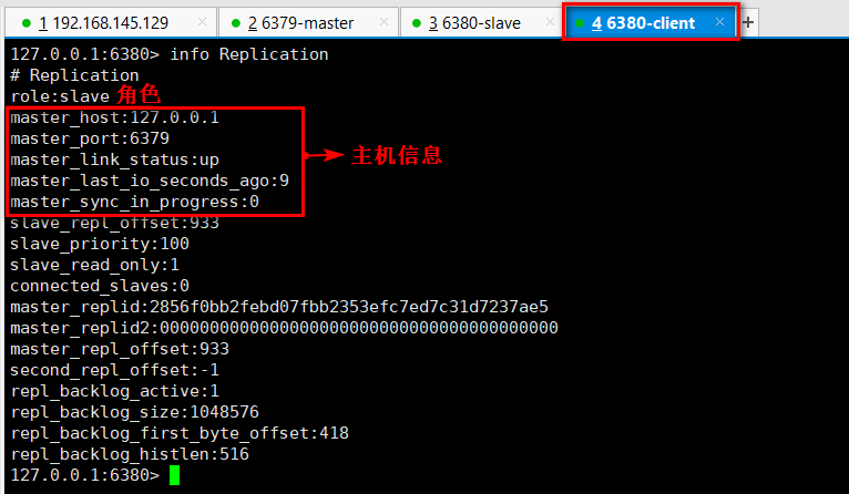 主机客户端查看主从信息