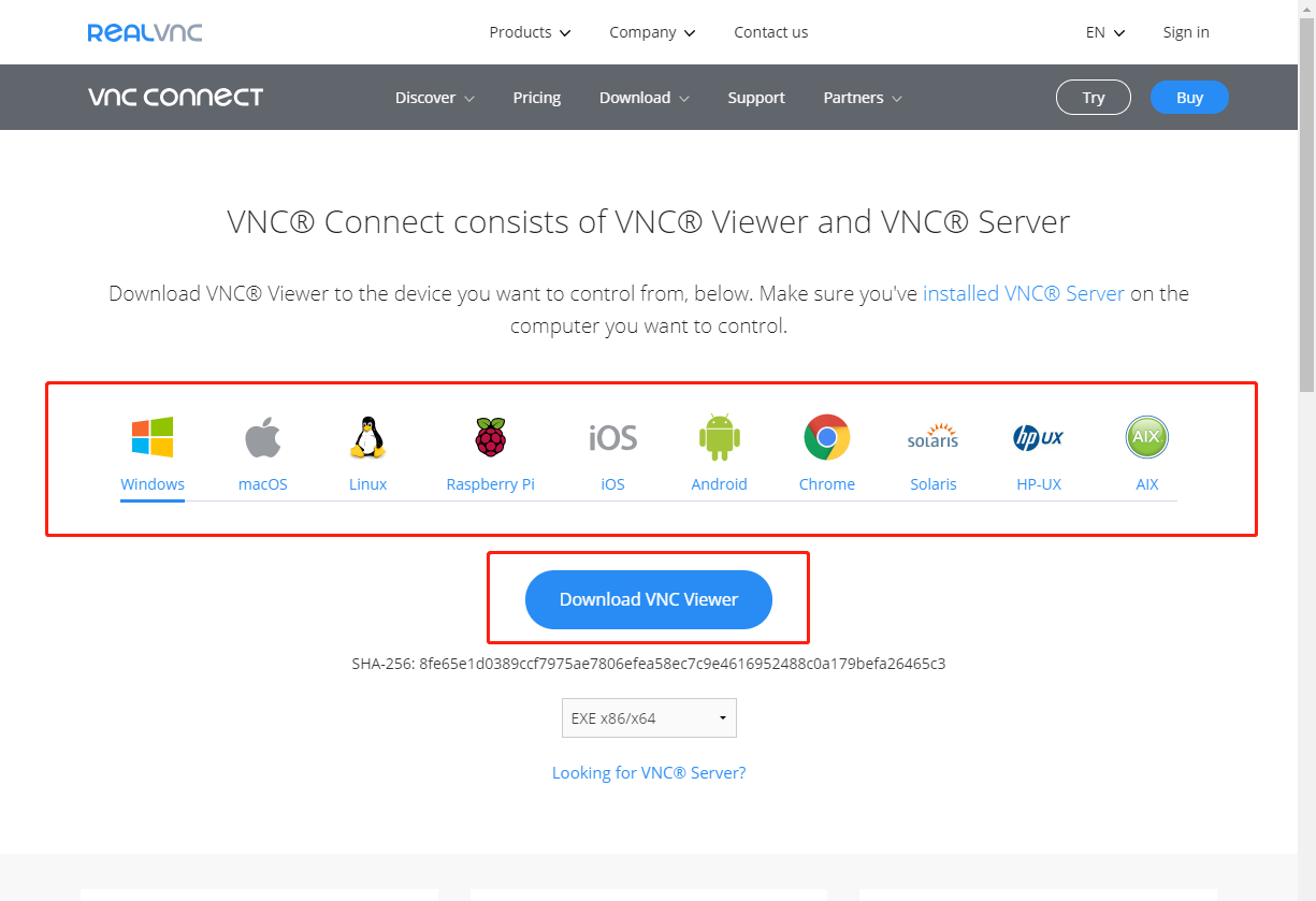 VNC安装包下载界面