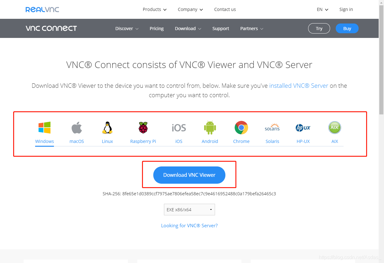 VNC安装包下载界面