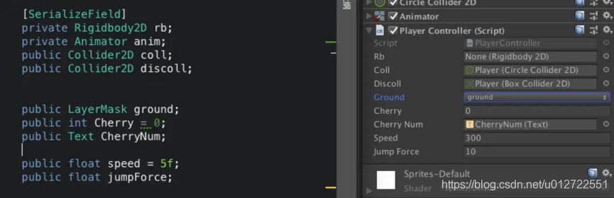 Private 的 Rb 可见 Anim 不可见