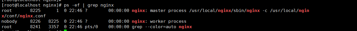 查看nginx进程