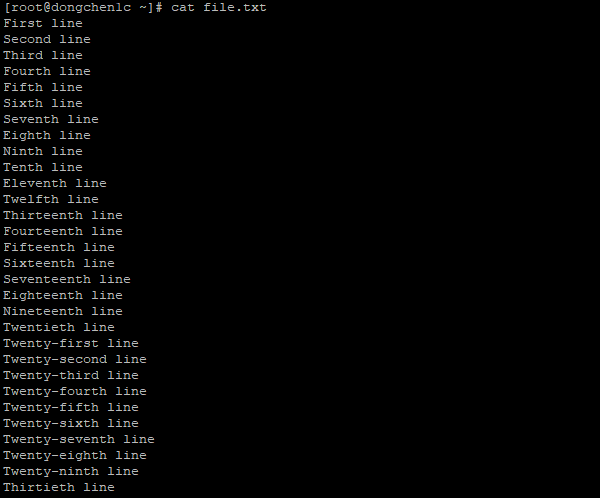 将 file.txt 文件的内容从头开始打印至屏幕上
