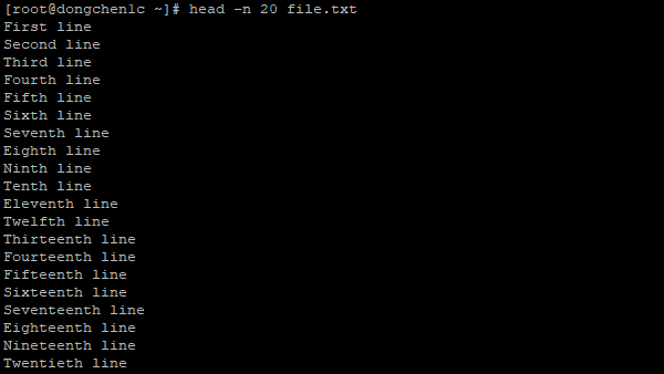 打印前 20 行内容