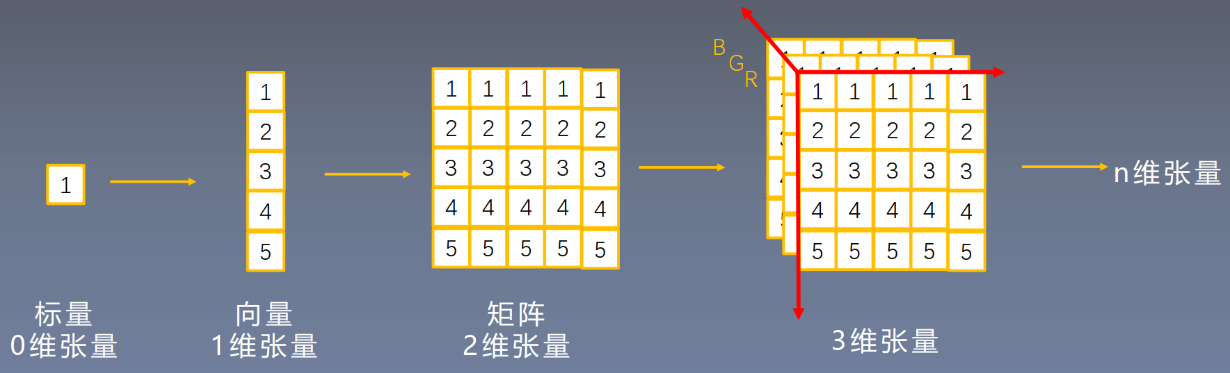 01张量的介绍与创建